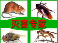 祝賀康凈公司總經(jīng)理當(dāng)選《中國專業(yè)有害生物管理》雜志編委